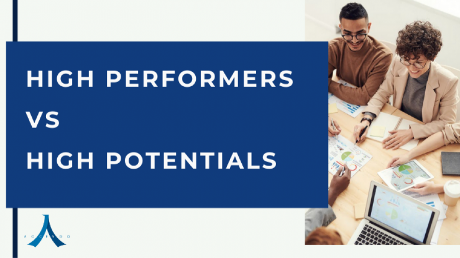 High Performers vs High Potentials
